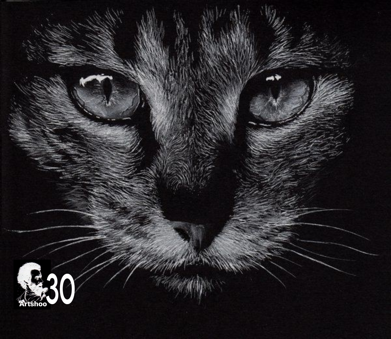 آموزش نقاشی طراحی سیاه قلم شهرری